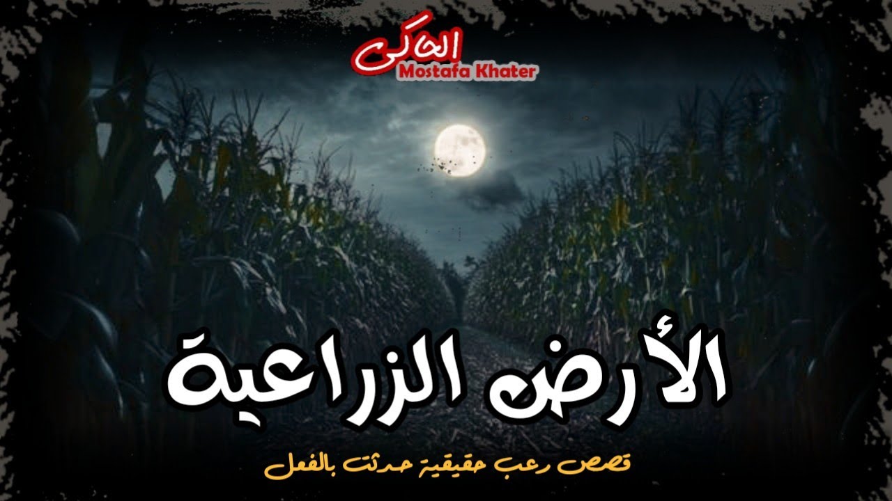 أرض زراعية بها ساقية مسكونة فى أرياف مصر وشباب يحدث معهم أشياء غريبة بسبب صديقهم || الحاكي