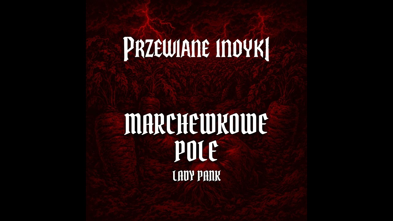 🔥 Lady Pank - Marchewkowe pole (cover) 