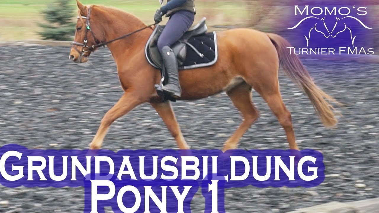 TAKT, LOSGELASSENHEIT, ANLEHNUNG | Grundausbildung Pony