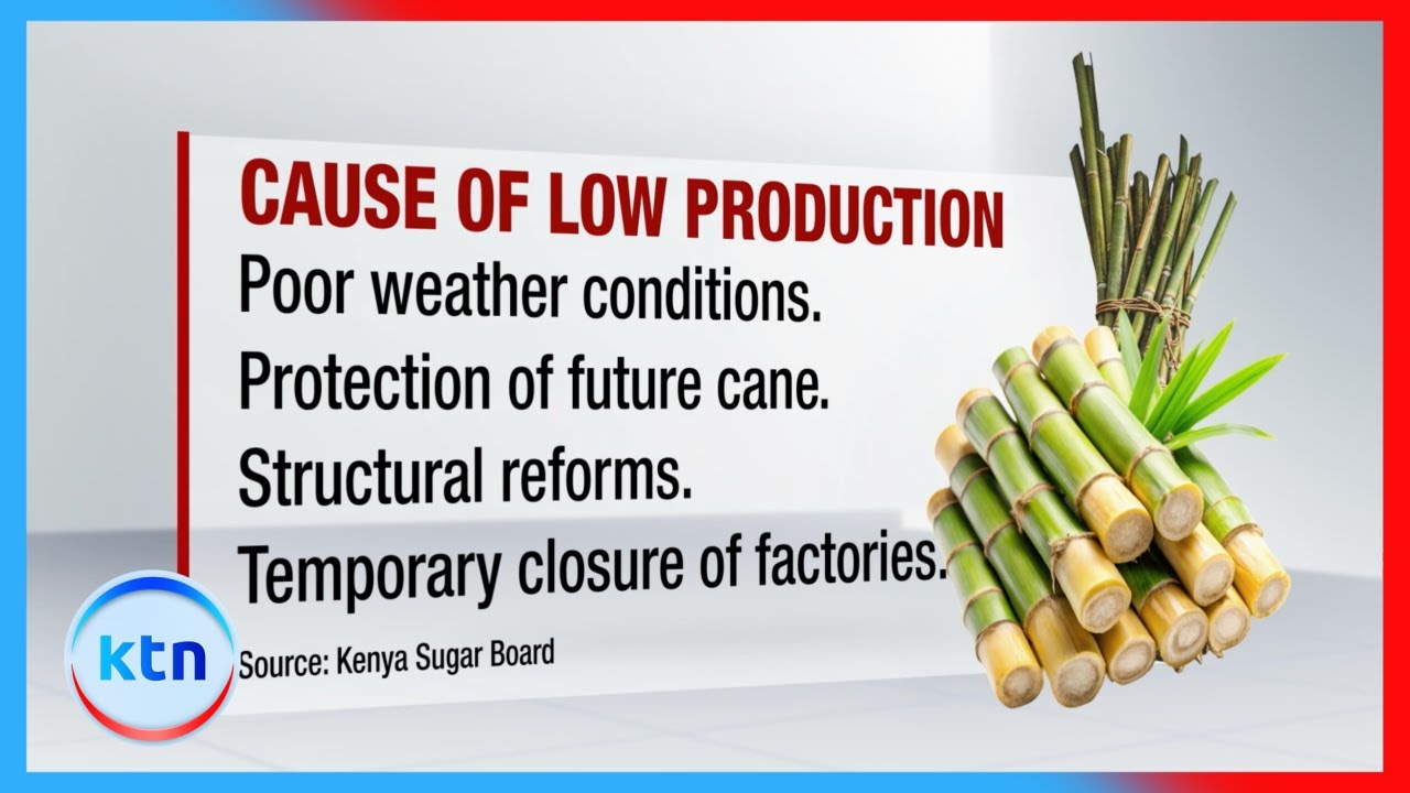 Sugar shortage looms as production falls to half of National demand