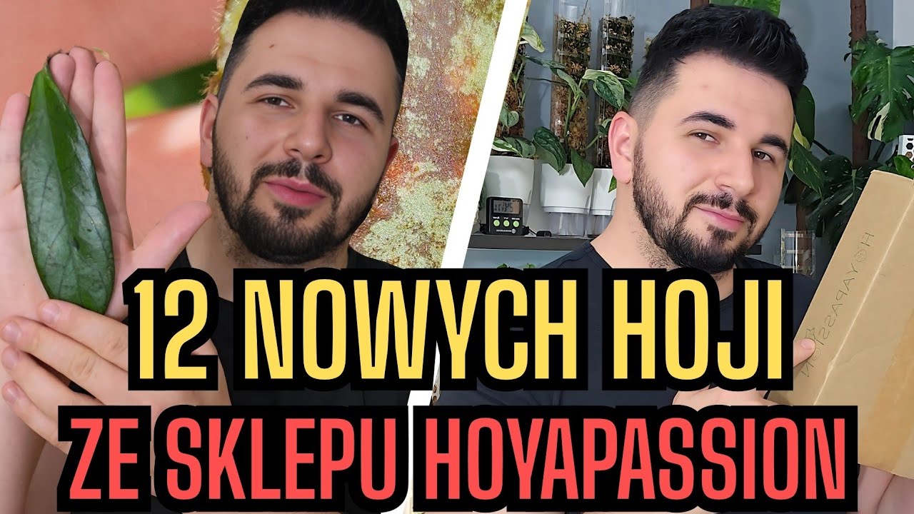 Sklep internetowy HOYAPASSION / 12 NOWYCH HOJI 🌿 OTWIERAM MYSTERY BOXA 📦
