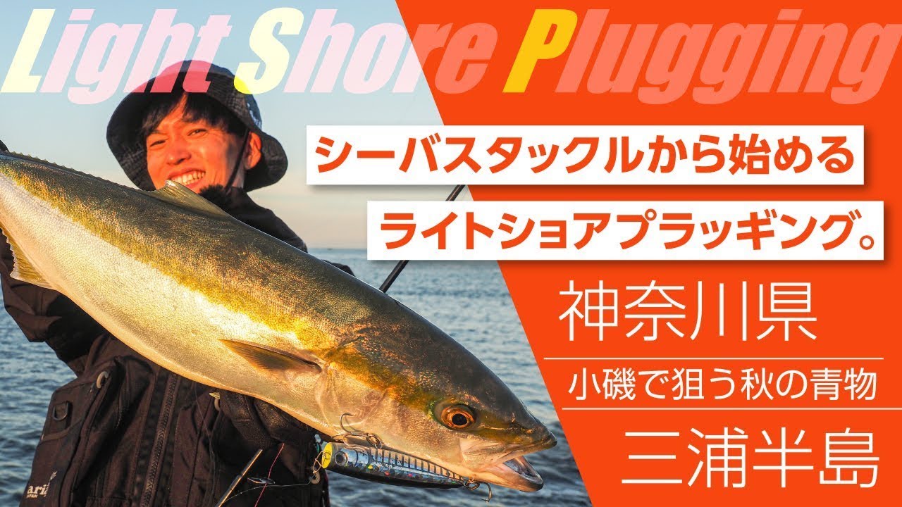 シーバスタックルから始めるお手軽青物ゲームin神奈川県三浦半島