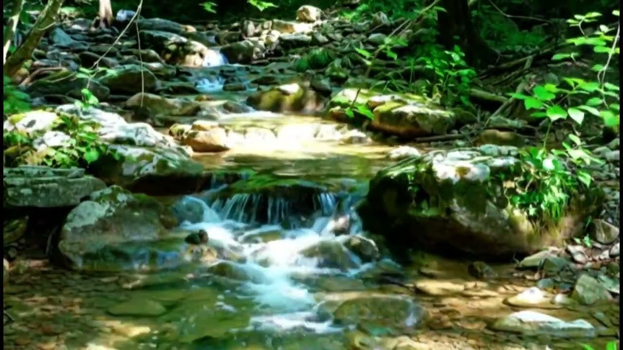 Clear Water Thinking Space | Soothing River Sounds for Creativity, Pure Relaxation Nature Soundscape
