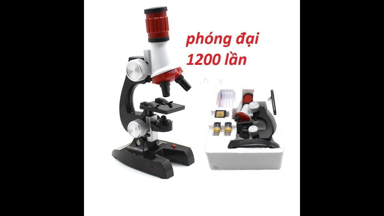 thử dùng kinh hiển vi để soi vi khuẩn - kính hiển vi mini giá rẻ