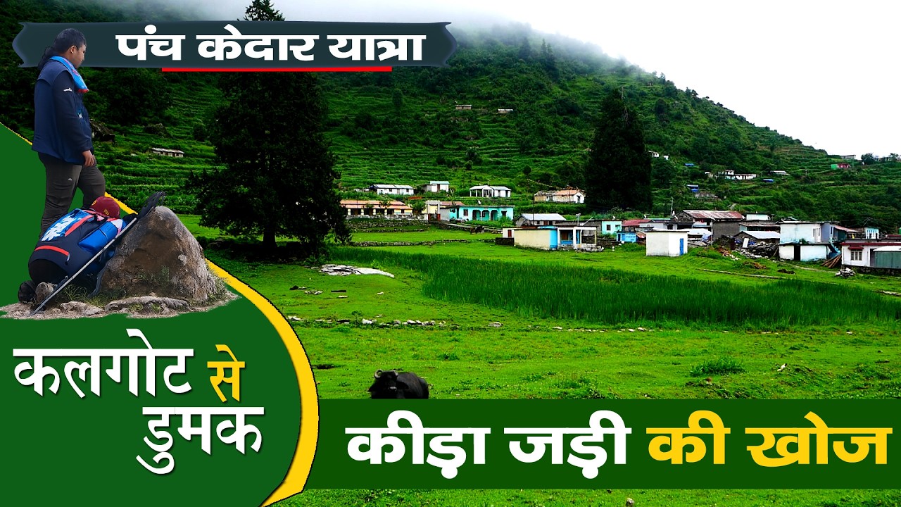 Panch Kedar Yatra EP 3 | Kalgot to Dumak | The Last Himalayan Village
