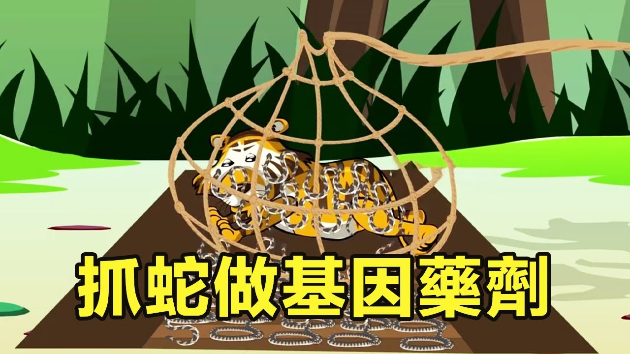 十三公路求生第265~266集：小夥面對蛇坑陷阱面不改色，冷靜的抓出來製成基因藥劑，沒想到蛇王在後面等著【雕十三啊】