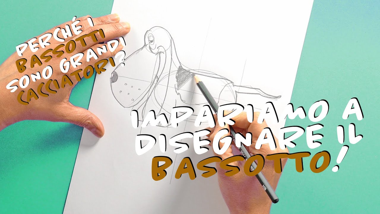 Impariamo a disegnare il BASSOTTO!