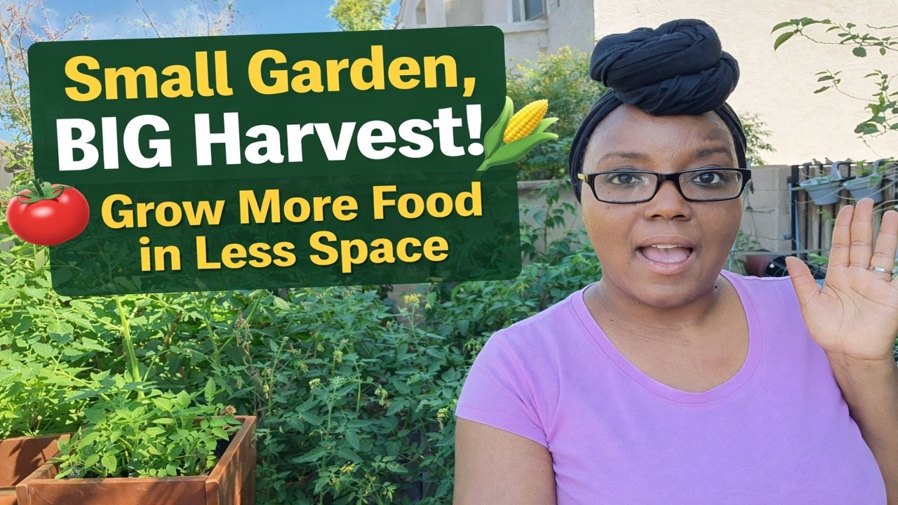 Small Garden, BIG Harvest! | Grow More Food in Less Space