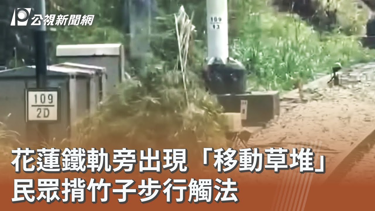 花蓮鐵軌旁出現「移動草堆」 民眾揹竹子步行觸法｜20260210 公視午間新聞