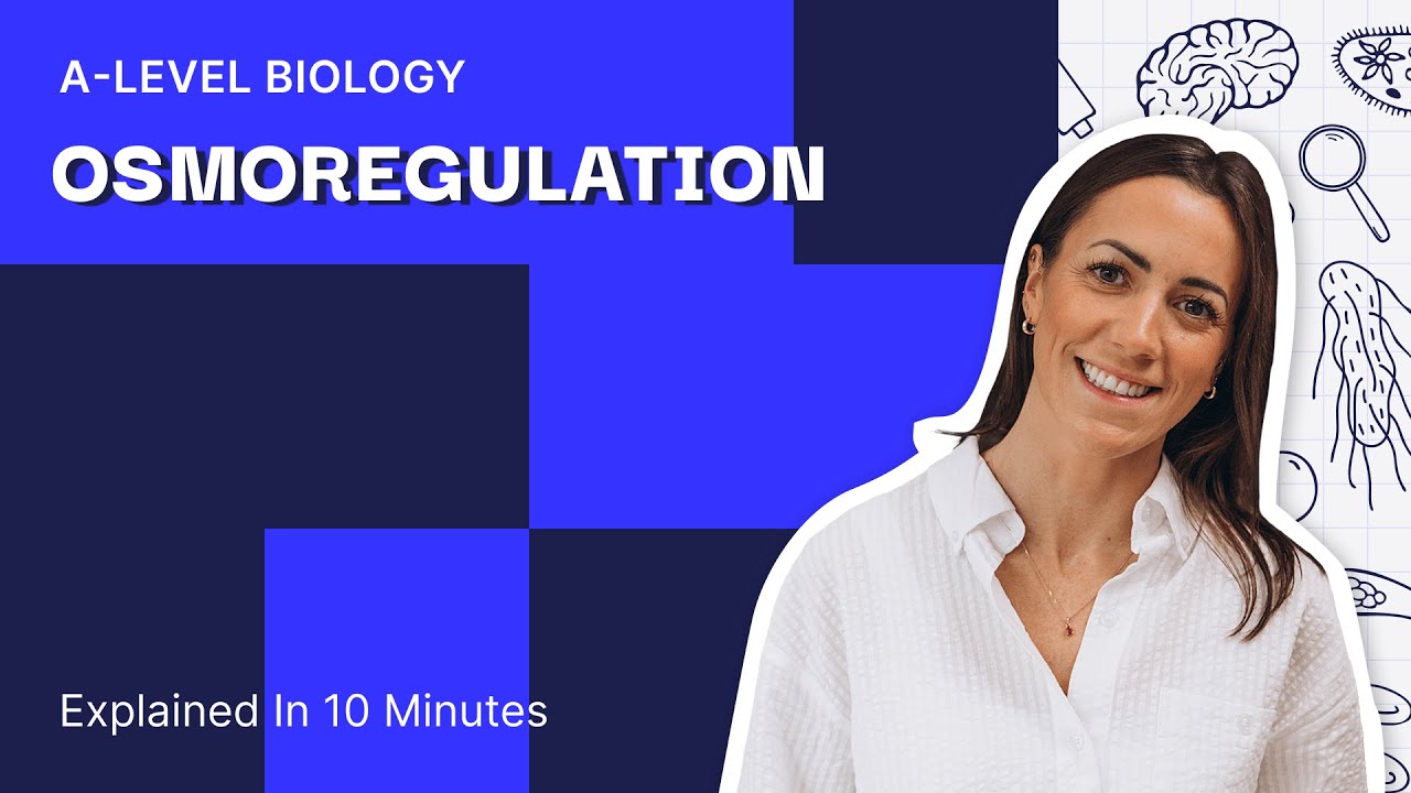 Everything You Need To Know About OSMOREGULATION in 10 Mins