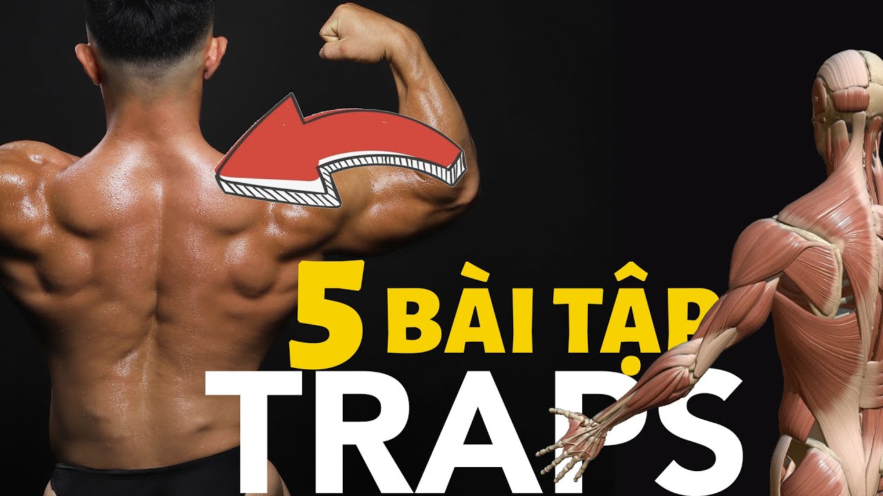 5 bài tập cơ Traps - Cầu vai | Trapezius Workouts - HLV Trần Trung Nhân