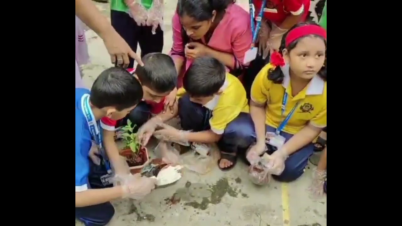 Tree plantation 