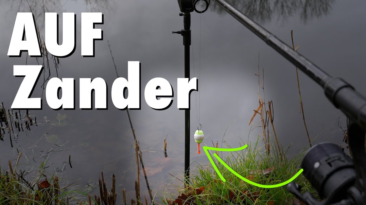 Zanderangeln am See &ndash; Mein Versuch mit K&ouml;derfisch bei echtem FeederFun-Wetter!