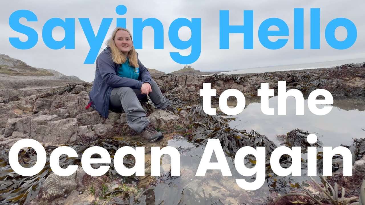 Saying Hello to the Ocean Again (Rockpooling in Mumbles, UK)