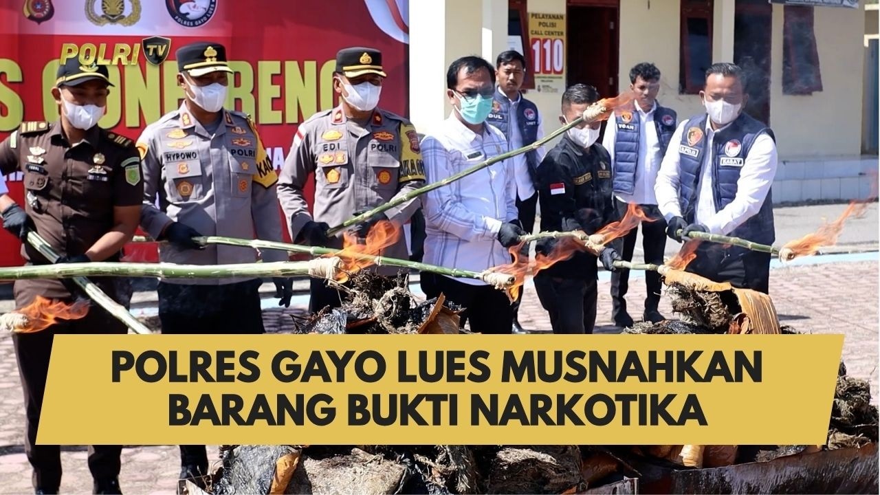 POLRES GAYO LUES MUSNAHKAN BARANG BUKTI NARKOTIKA
