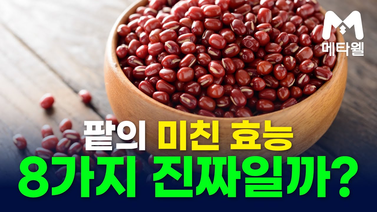 팥의 미친효능 8가지 진짜일까?? 60세부터 100세까지 유익한 메타웰 건강정보 건강꿀팁 무조건 팥은 이렇게 먹어야 도움이 됩니다!!
