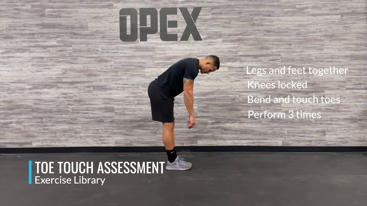 Toe Touch Assessment