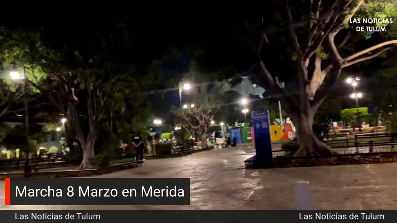 Marcha 8 Marzo en Merida