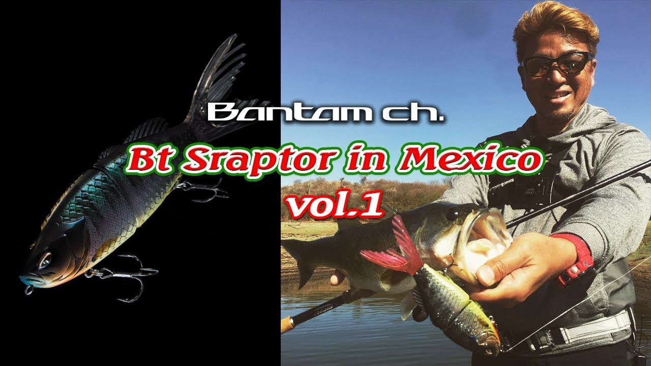 BANTAM Ch. 【奥田学】Bt Sraptor in Mexico  vol.01