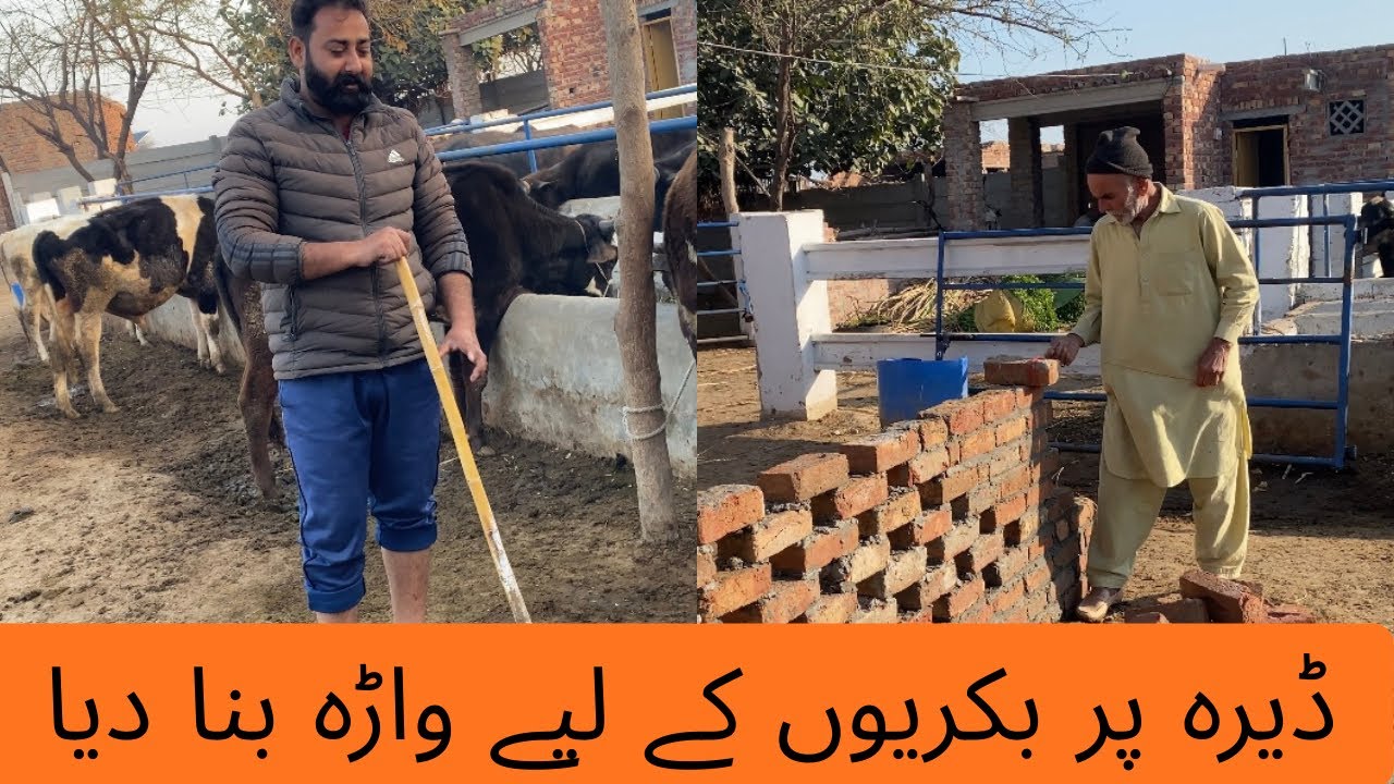 “بکریوں کا باڑا تیار ہو گیا” 🐐 Kafi mehnat ka kam  tha.....Lakin Kuch kam baki rah gya🙁