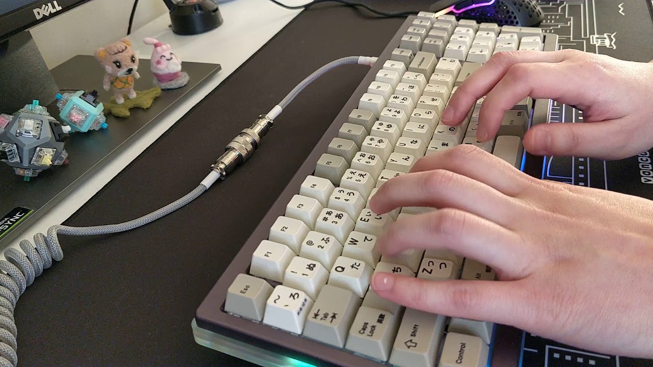 TX HJ-CP with Roselios - Typing Test