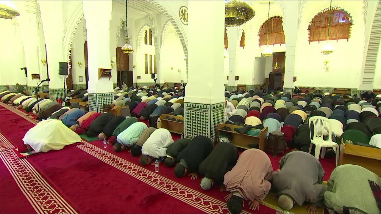 بث مباشرلوقائع صلاة التراويح من داخل مسجد ابي بكر الصديق (تاركة) بصوت القارئ هشام الزبيدي