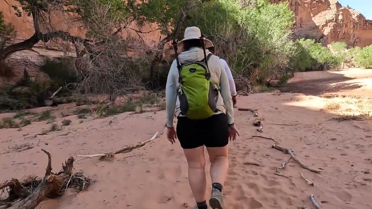 Horseshoe Canyon April 2025