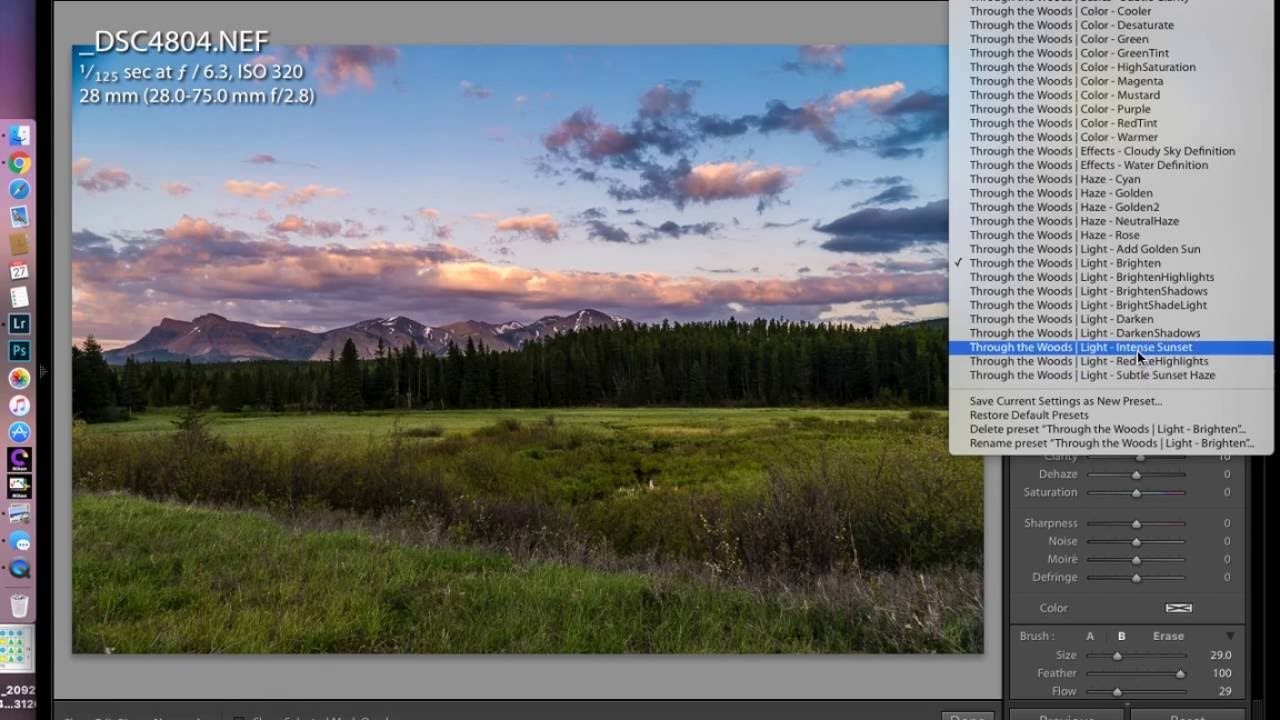 Through the Woods SleekLens Landscape Lightroom Preset preview