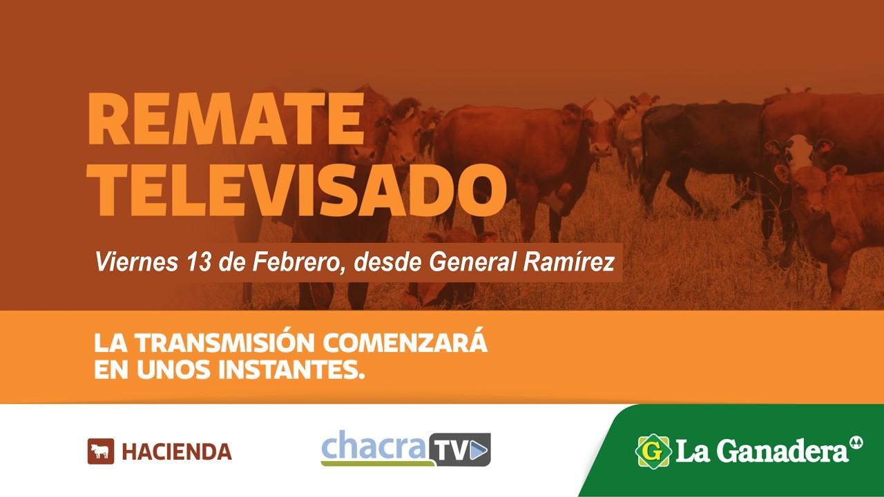 Remate de Hacienda Coop. LA GANADERA -  Gral. Ramírez -  Viernes 13 de Febrero de 2026.