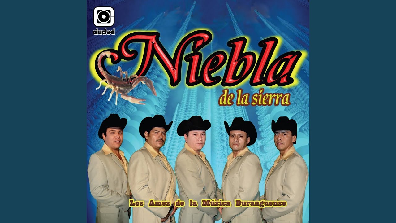 Un Montón de Estrellas