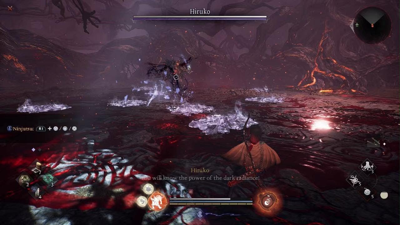 Finally beat Hiruko