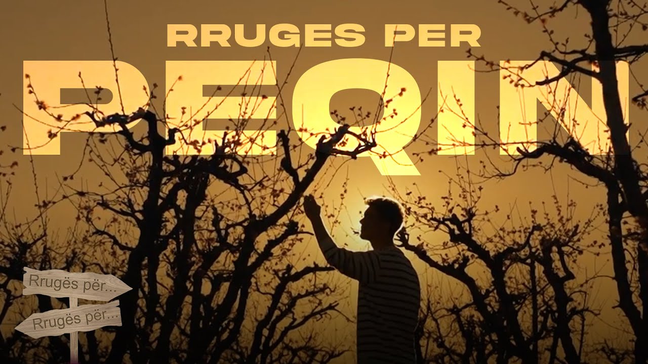 Rrugës për Peqin pa asnjë cent në xhep - 06.04.2023- ATV