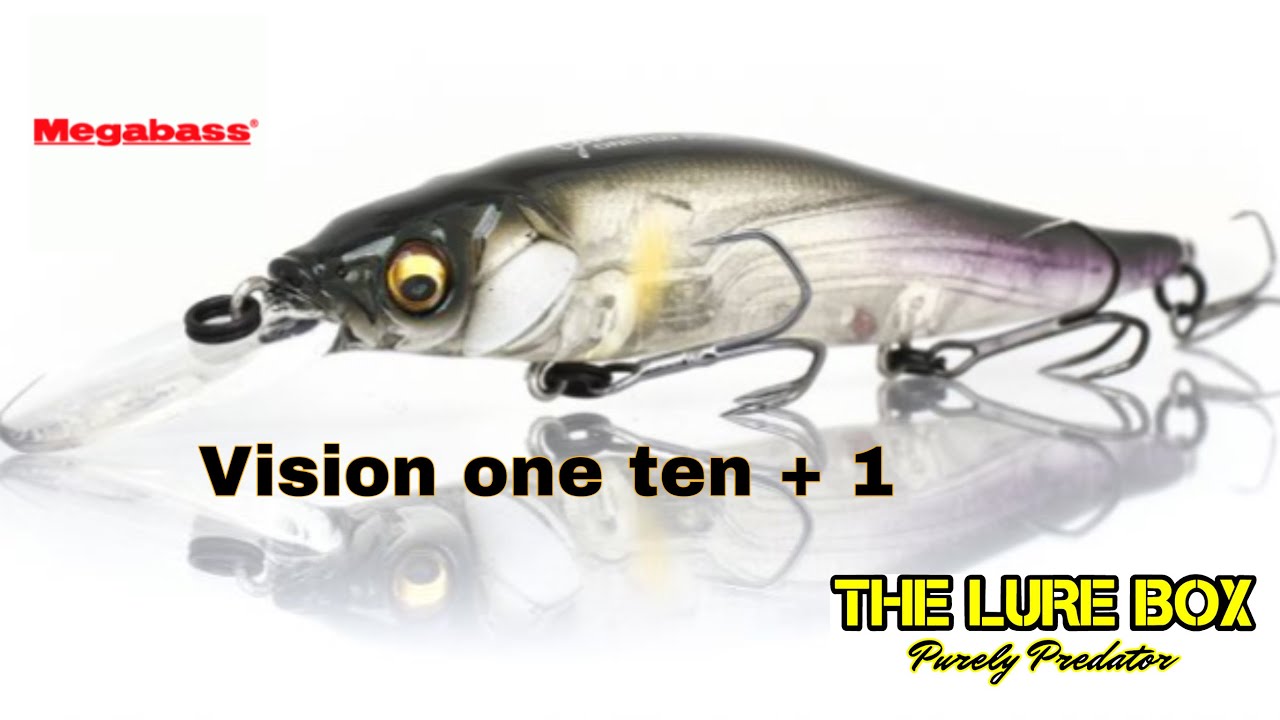 Quick look - Megabass Vision One Ten + 1 #lurefishing #megabasslures #lurefishinguk