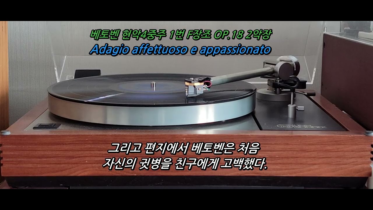 Beethoven String Quartet No.1 F Major Op.18-1 2nd Mvt 머리를 쥐어뜯으며 쓴 악장