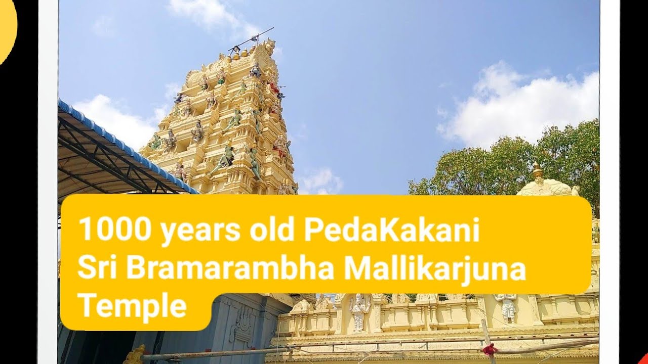 1000 years old PedaKakani Sri Bramarambha Mallikarjuna Temple