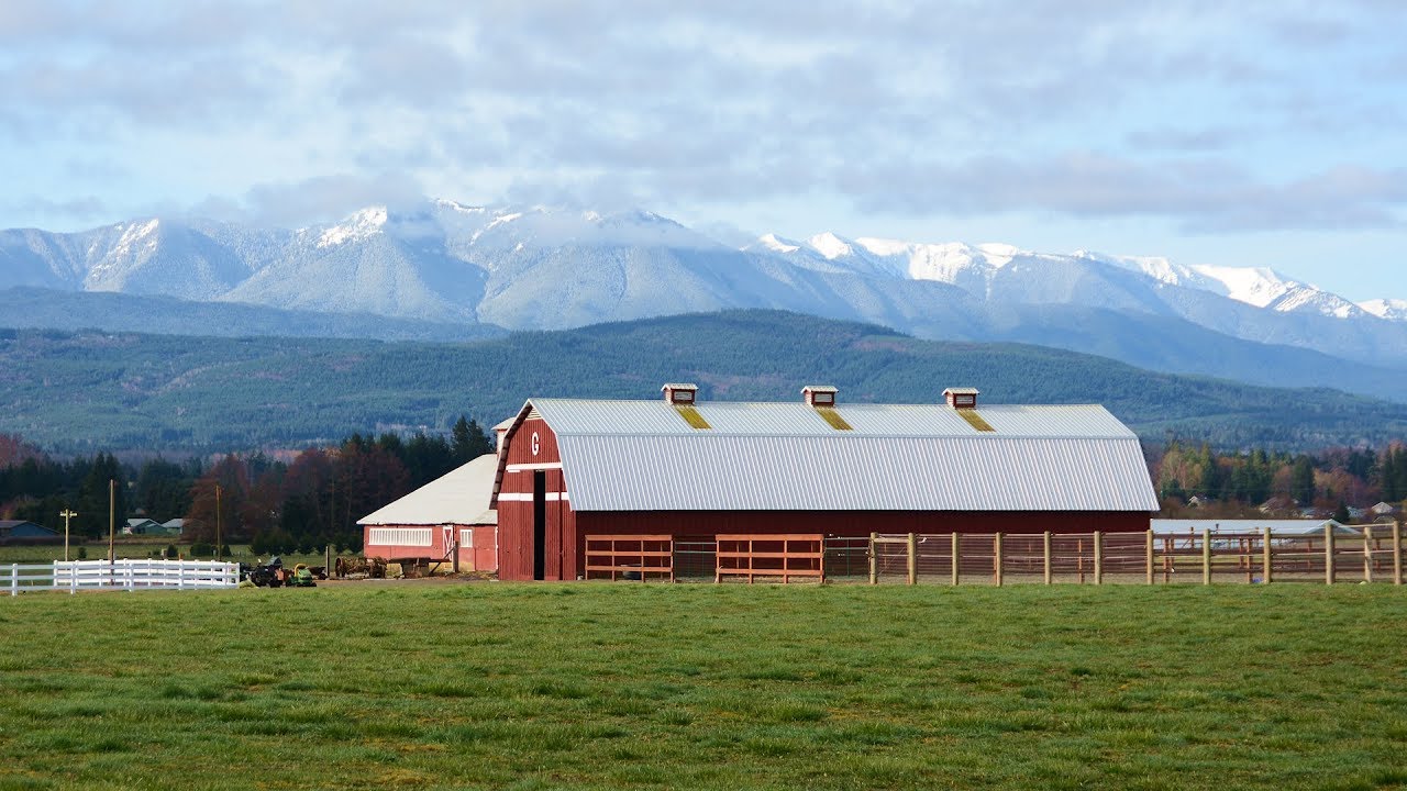 Scenic Sunday Morning Drive in Sequim, Washington