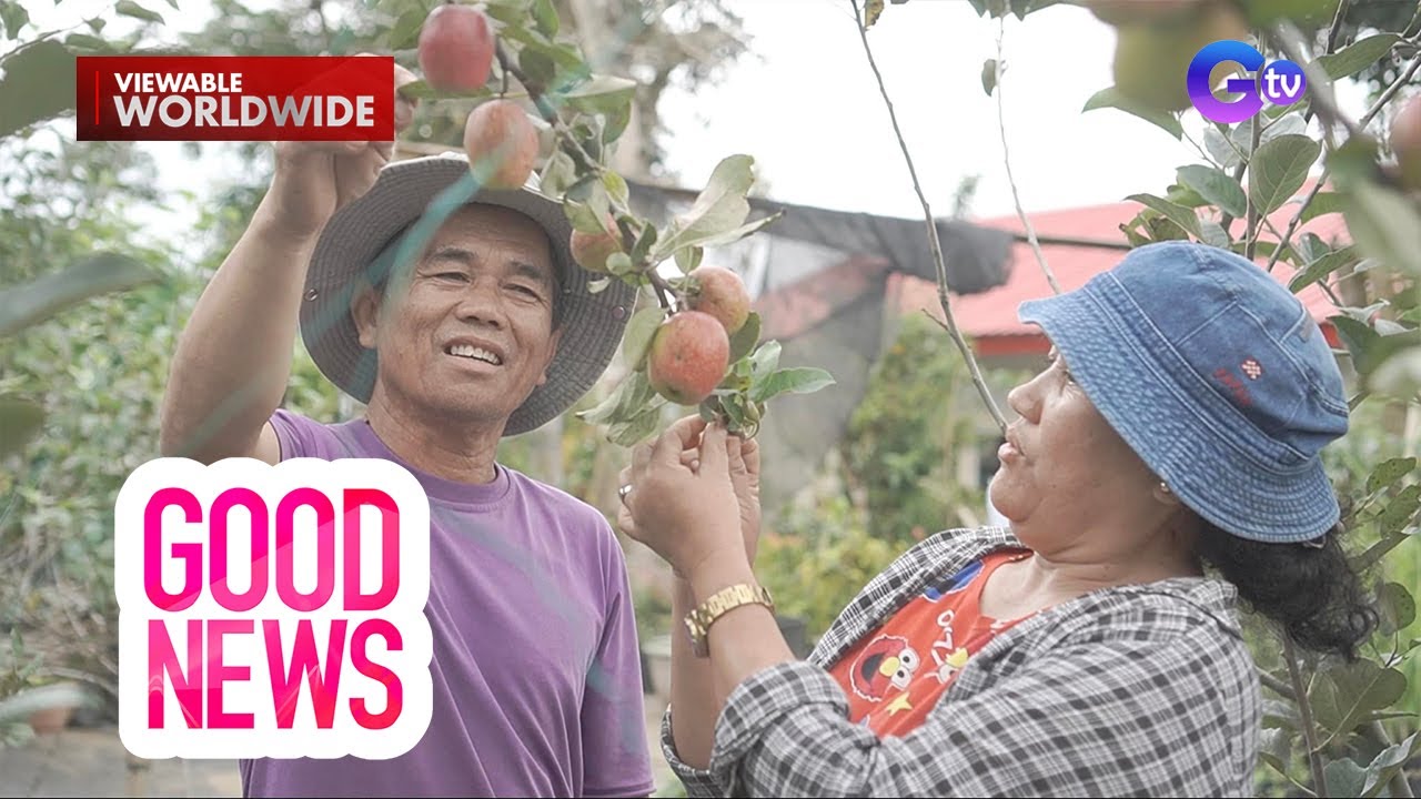 Magsasaka sa Digos City, matagumpay na nakapagpatubo ng mahigit 500 apple trees! | Good News