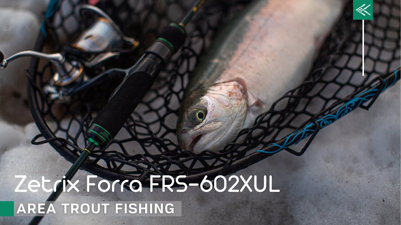 Zetrix Forra FRS-602XUL и хорошая прудовая форель