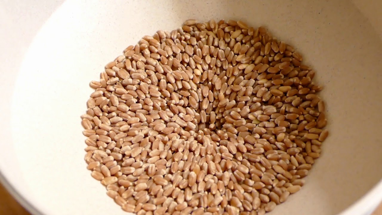 Mockmill 200 Grain Mill