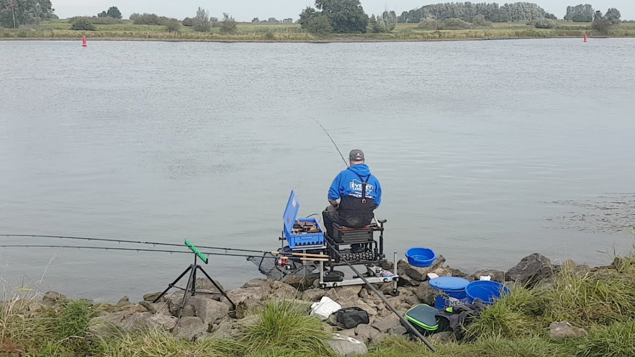 Feeder On The Ijssel