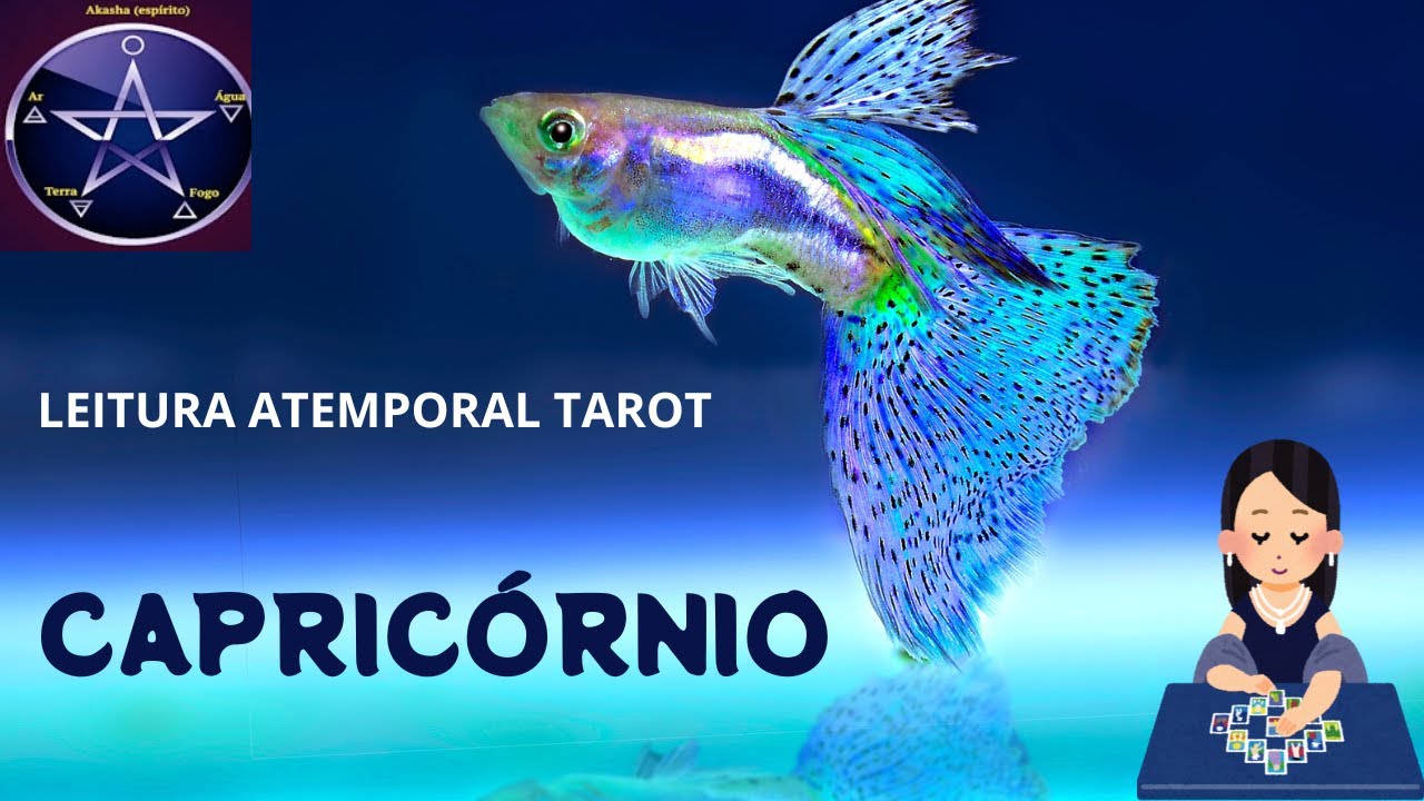 ♑CAPRICÓRNIO - UM ENCONTRO COM ALGUEM OU UMA SITUAÇÃO PASSADA.