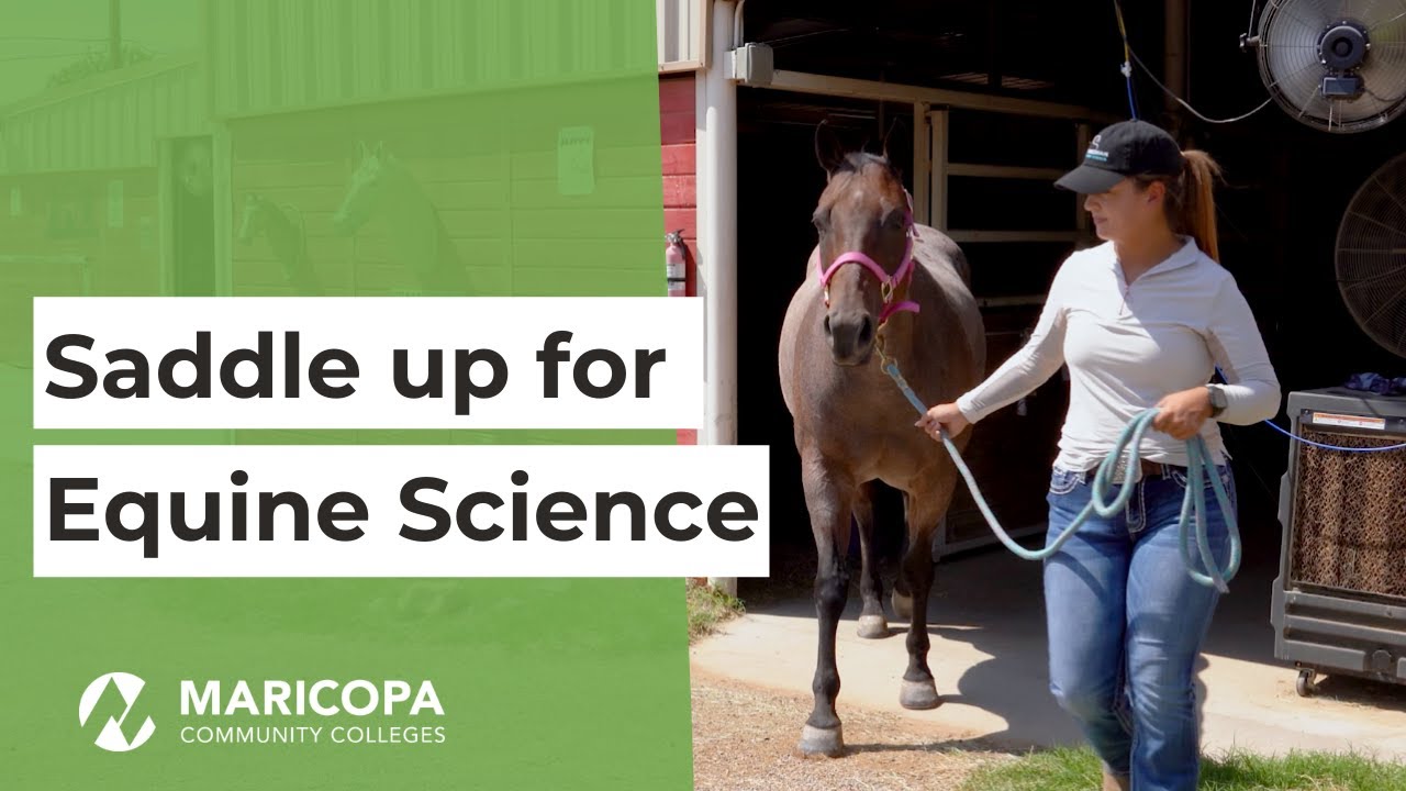 Saddle Up for Equine Science