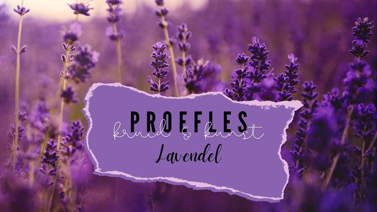 Kruid & Kunst lavendel proefles!