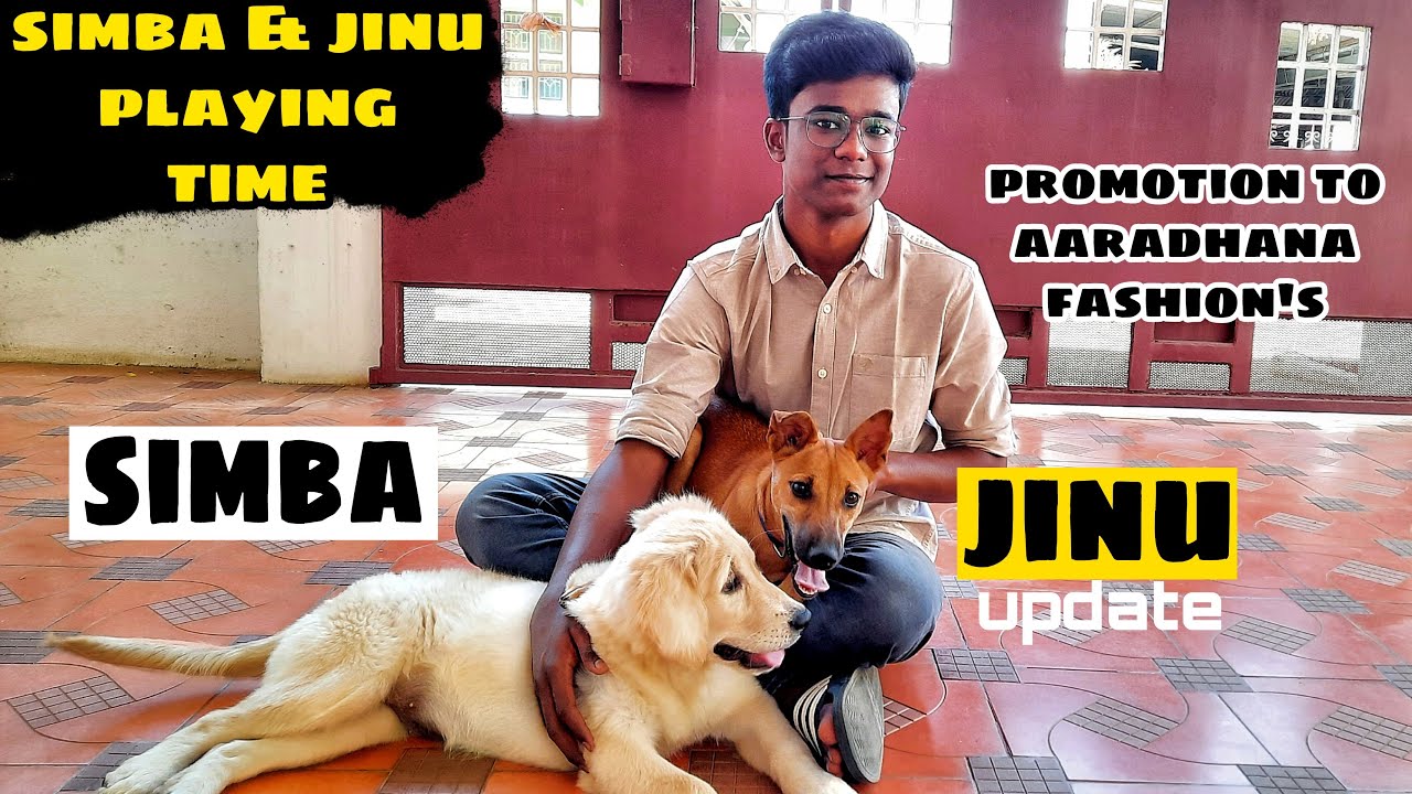 Jinu girl UPDATE | JINU and SIIMBA playing fun!! | Tamil Vlog