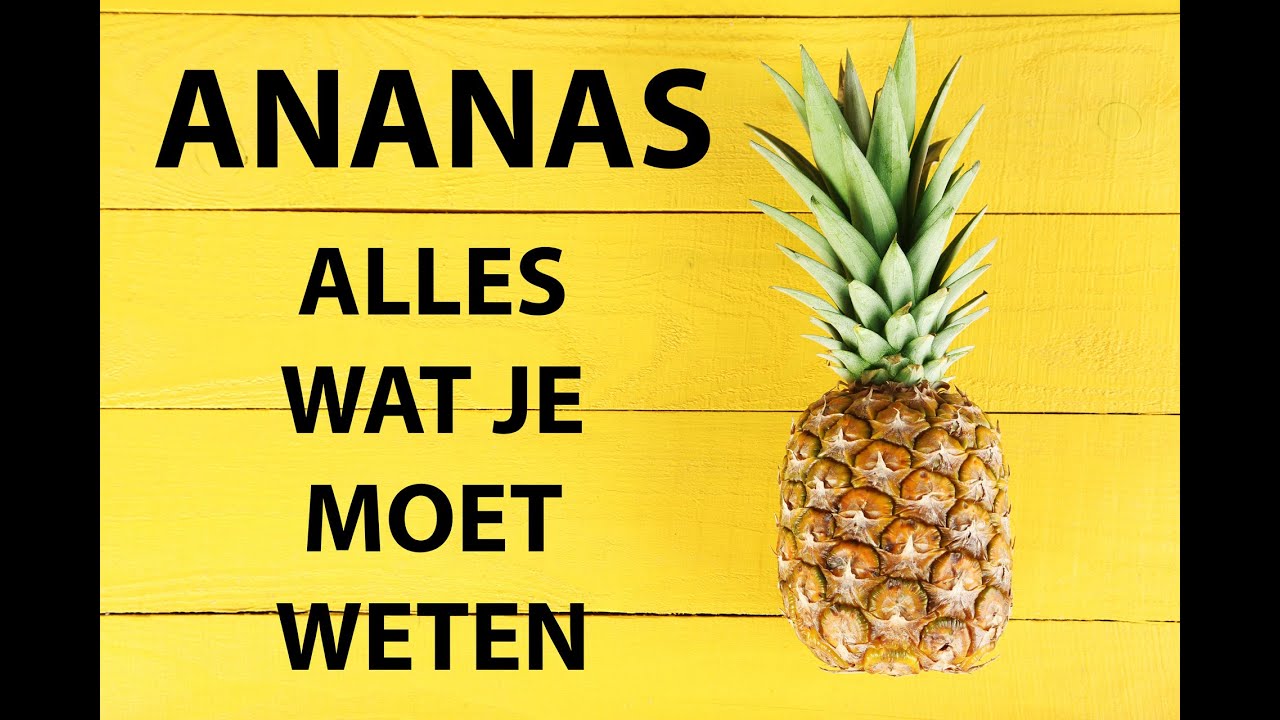 Ananas: alles wat je moet weten
