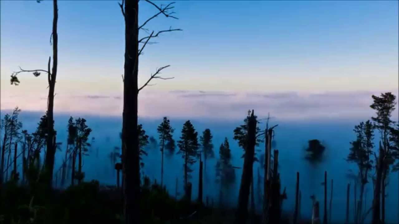 a-ha | Forest fire (oficial, Cast in Steel 2015)