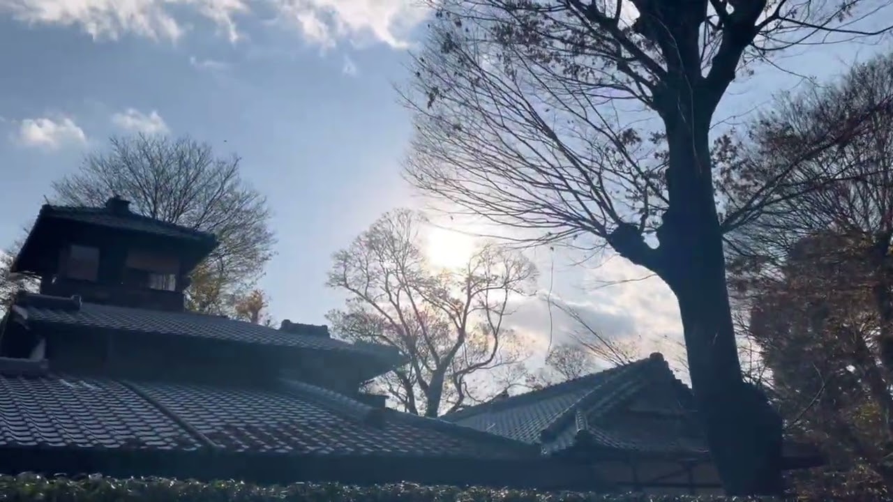 下鴨神社付近を散策してみた。3️⃣