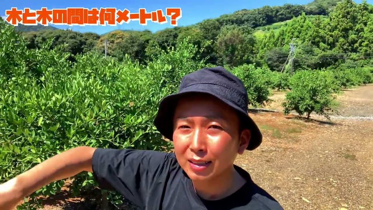 木と木の間は何メートル？