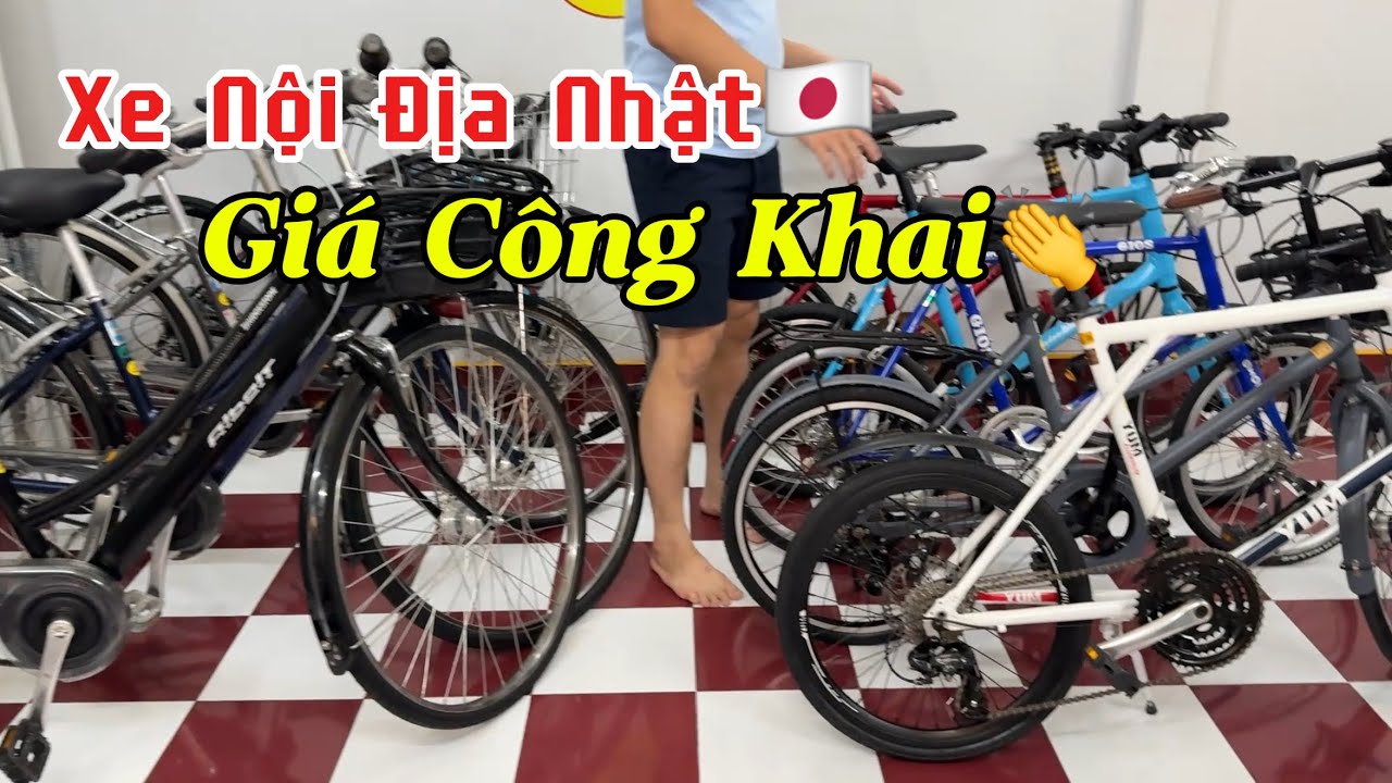 Thanh Tỷ | lô xe mini velo -Xe Bridgeston Albelt -lh 0911540411