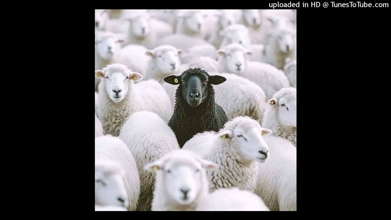 Asambe BlaQ_sa  - Tiki Taka